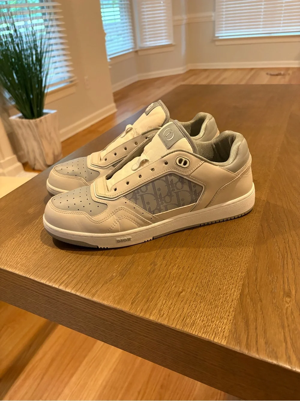 Dior Men's Low-Top Sneakers in White and Light Gray